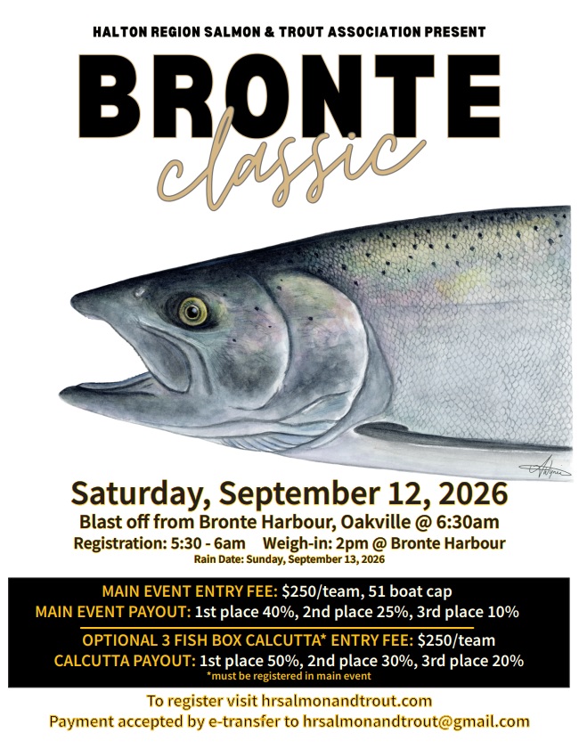 Event Flyer Image